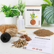 Load image into Gallery viewer, Kokedama DIY Kit