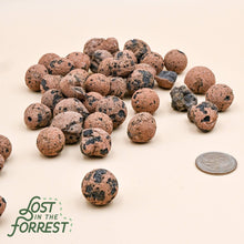 Load image into Gallery viewer, LECA: Small