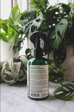 Load image into Gallery viewer, Say No To Bugs