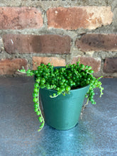 Load image into Gallery viewer, String of Pearls 3"