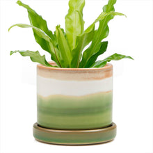 Load image into Gallery viewer, 5" Bronze Speckles by Chive
