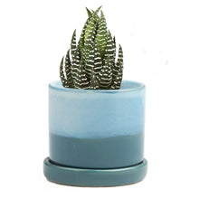 Load image into Gallery viewer, 5" Bronze Speckles by Chive
