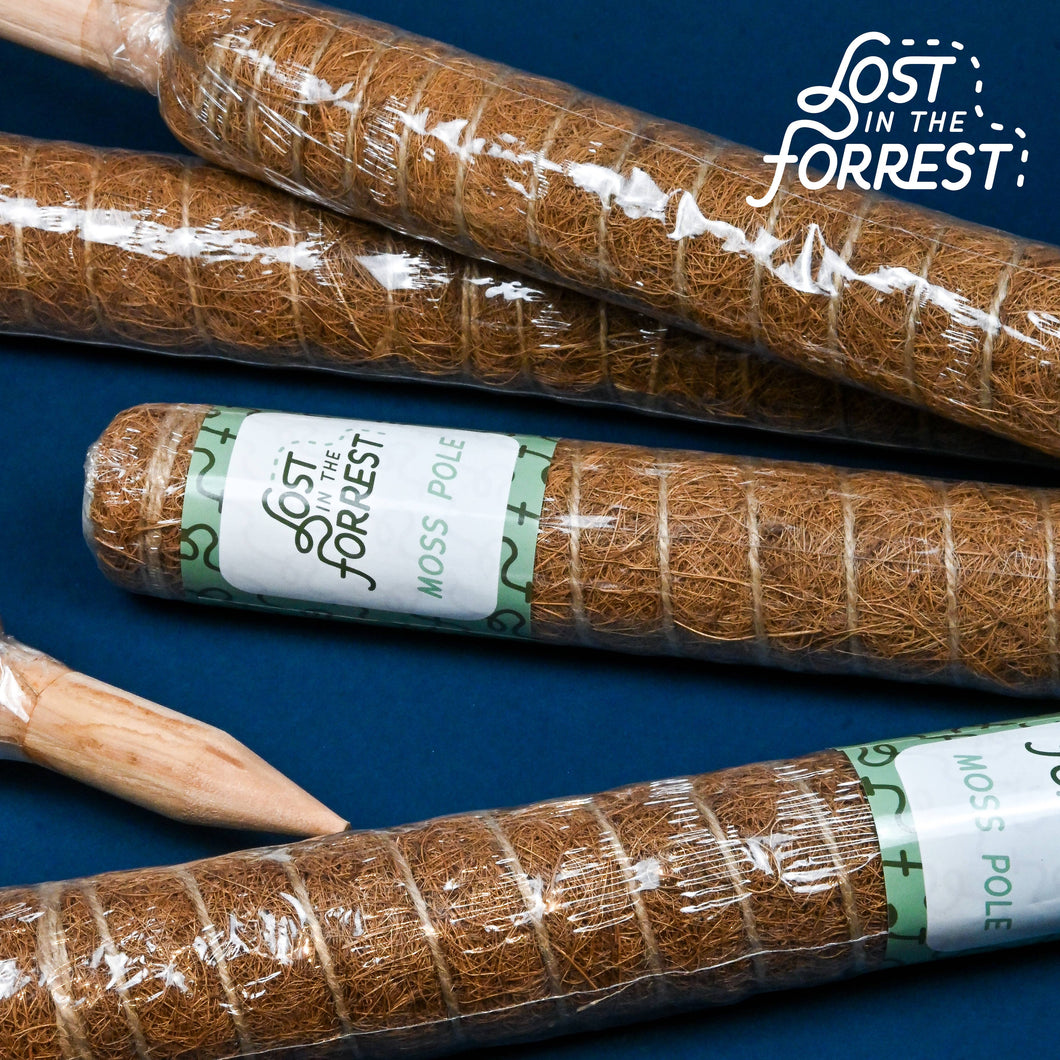 Stackable Coir Pole: 16