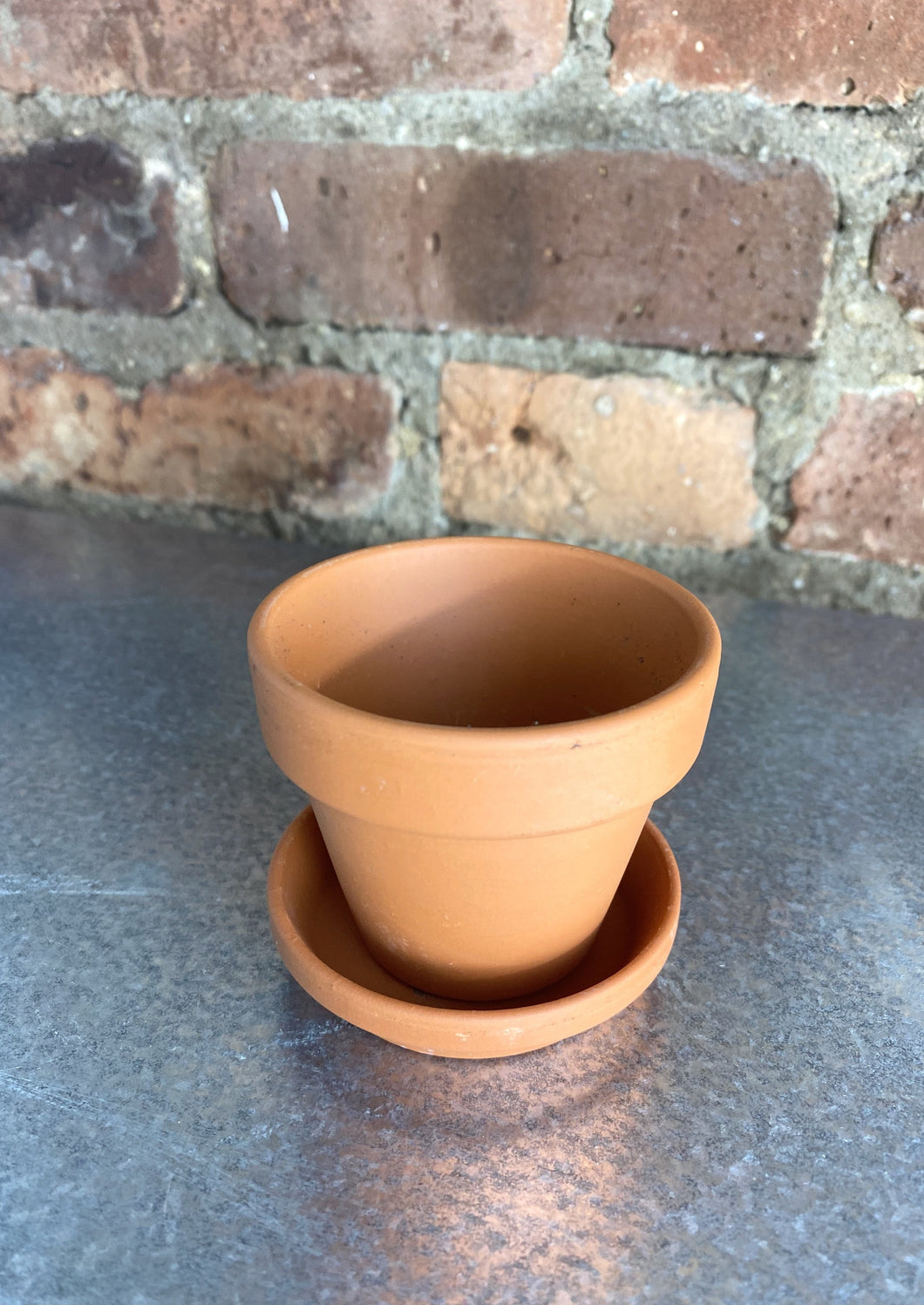 Terracotta Pot + Saucer 2.75