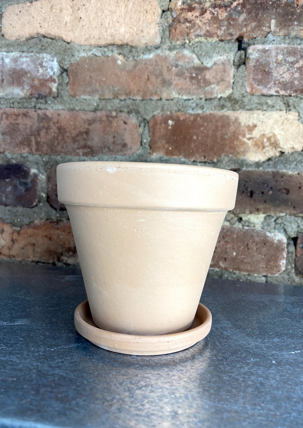 Antique Terracotta Pot + Saucer 4.5