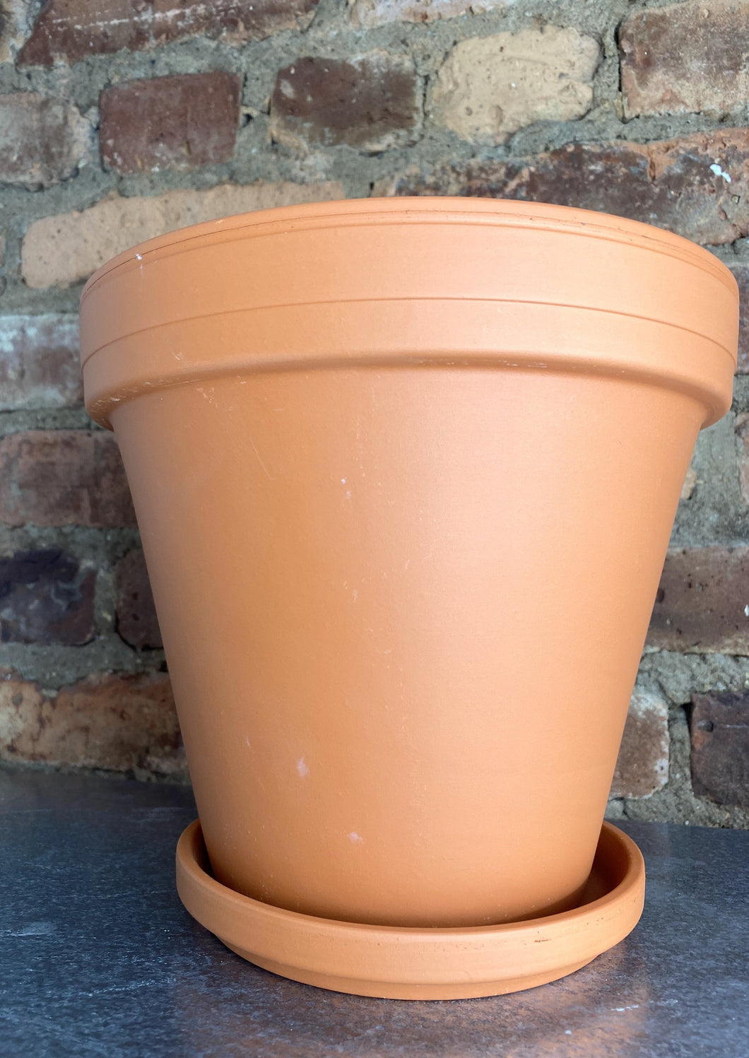 Terracotta Pot + Saucer 8.5